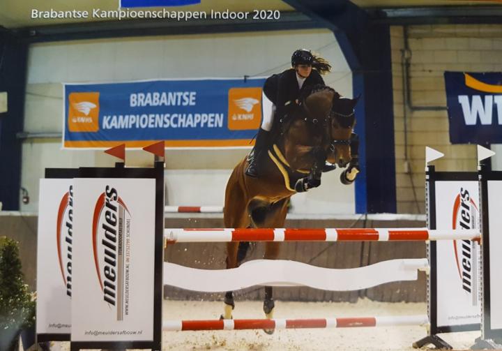 Kentuky Z Indoor BK 2020  klasse M